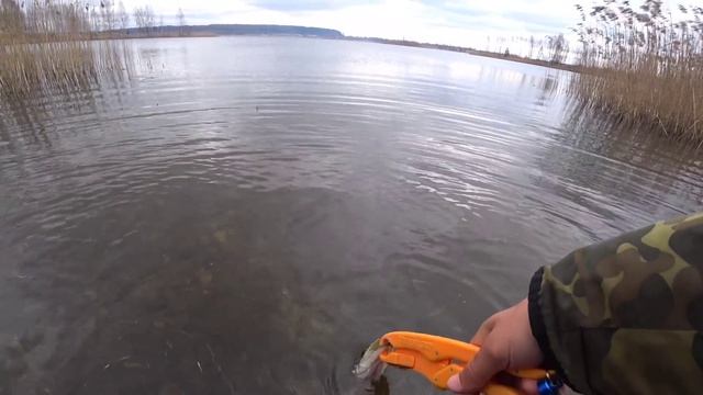 Рыбалка в ЗАПРЕТ!!! Спиннинг с берега... смотреть онлайн