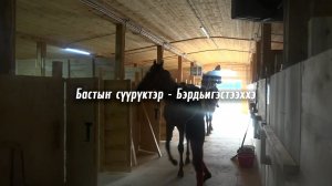Бастыҥ сүүрүктэр - Бэрдьигэстээххэ