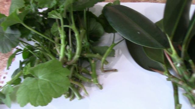 Неожиданный подарок от мужа смотреть онлайн