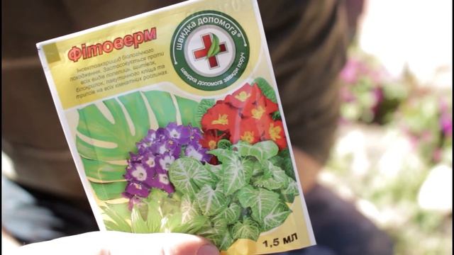 ВЕСЕННЯЯ ОБРАБОТКА ЦИТРУСОВЫХ ОТ ВРЕДИТЕЛЕЙ смотреть онлайн