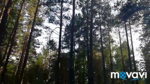 Санаторий "Электра"