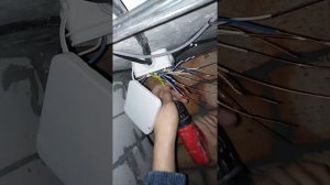 Расключение коробки освещение