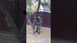 Держу дерево,чтоб оно не упало. 😂😂😂