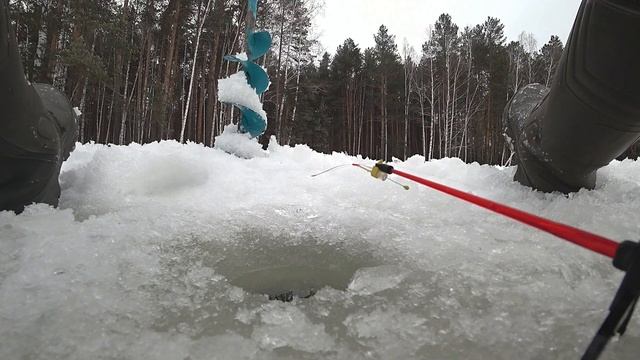 РАЗДАЧА ОКУНЯ НА МОРМЫШКУ/САМАЯ КОРОТКАЯ РЫБАЛКА/ЗИМНЯЯ РЫБАЛКА 2020...