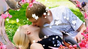 Группа Садко   Вишневый сад