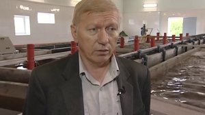 "Бисеровский рыбокомбинат"