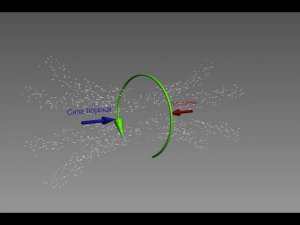 Сила Лоренца напралена с обоих сторон катушки, магнита  в центр