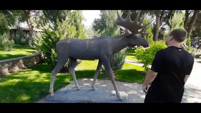 Любопытный зверек смотреть онлайн