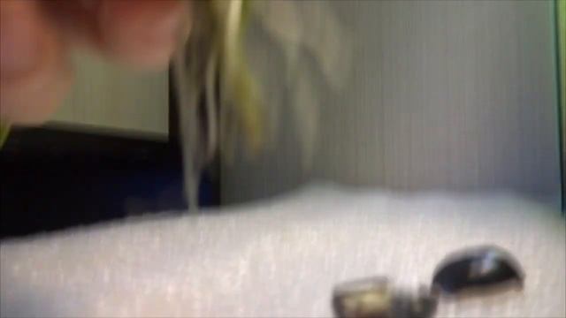 Запах из аквариума. Что же случилось? смотреть онлайн