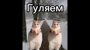 Встреча с другом! (смешное видео с котами)