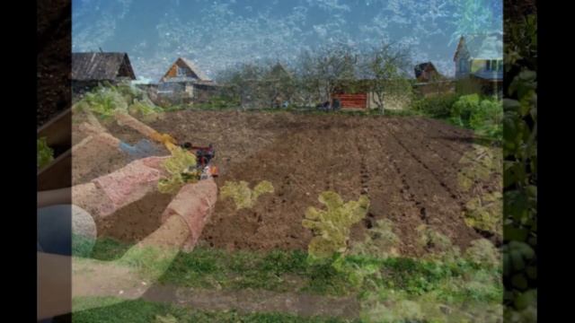 Подкормка и сохранение плодородия почвы дешевым органическим удобрением. Сад. Огород. Виноградник.
