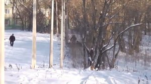 Снегоход Разгуляй 15