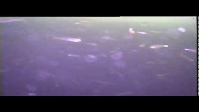 Обзор Подводная камера фишка 4303 подводная съёмка
