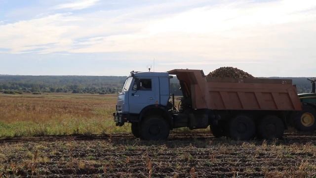 Производство семенного картофеля: история компании «АГРОСФЕРА»