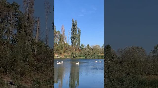 07.10.2023 Озеро в Станице Раевская Новороссийск