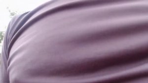 Proel V10 FREE обзор и история приобретения