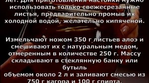 Рецепт «Алоэ, мед, кагор» для лечения легочных путей