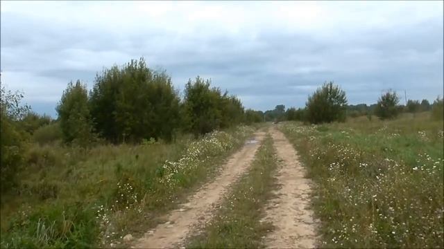 Гон лисы русской гончей Баяном Шамгина А.Ю. смотреть онлайн