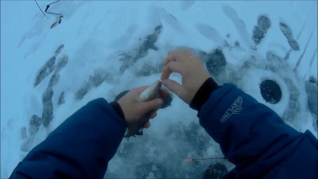 Карелия Зимняя рыбалка 2019 озеро Чегозеро Лещ Трофей
