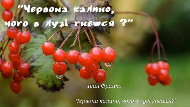 Зів'яле листя,І Франко смотреть онлайн