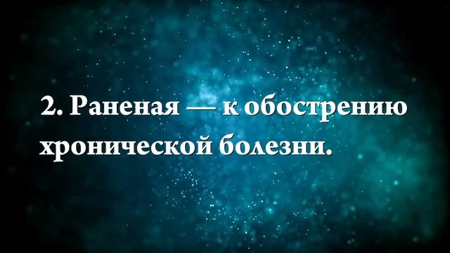 К чему снится выдра - Онлайн Сонник Эксперт смотреть онлайн