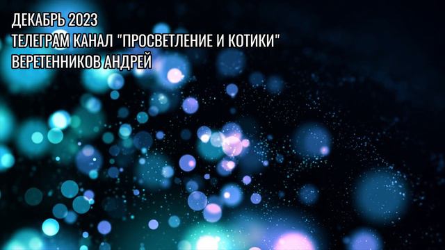 Запись с группы Просветление и Котики | Нужно еще?