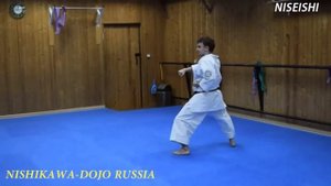 Вадо-рю каратэ/ ката Нисейси