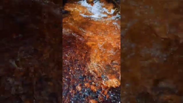 Coconut tree😊😊😊😍😍😍 смотреть онлайн