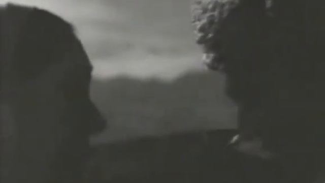 Петух 1966 Туркмения