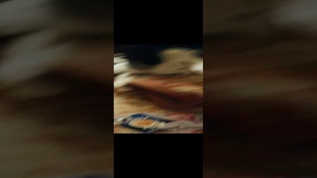 ШОК! ЧТО ВЫТВОРЯЮТ ХАСКИ КОГДА ХОЗЯЕВ НЕТ ДОМА!