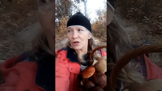 20 novembre 2023. Bourgogne. France. ФРАНЦИЯ ??. Бургундия. В этом году, как никогда.. смотреть онлайн