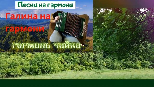 ?Коробочка [на гармони] в лесу / Песни на гармони / Жизнь в деревне✔️