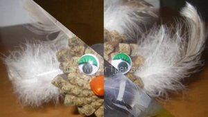 Детские поделки из перьев птиц