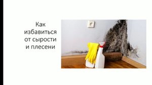Как избавиться от сырости и плесени