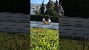 ВЕРТИКАЛЬНОЕ ВИДЕО НА ЮТУБ