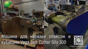 Машина для нарезки слайсом и кубиками Vega Gilo