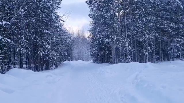 Шутливая  песня  от   нашего  подписчика