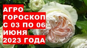 Агрогороскоп с 03 по 06 июня 2023 года. Агрогороскоп з 03 по 06 червня 2023 року