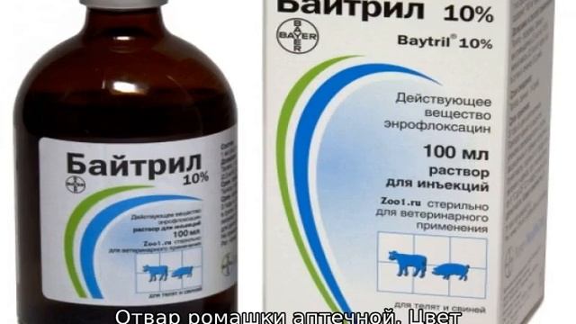 Понос у кроликов — причина и лечение смотреть онлайн