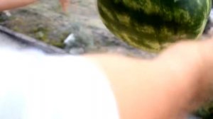 Что будет если сбросить арбуз с бензином с 6 этажа