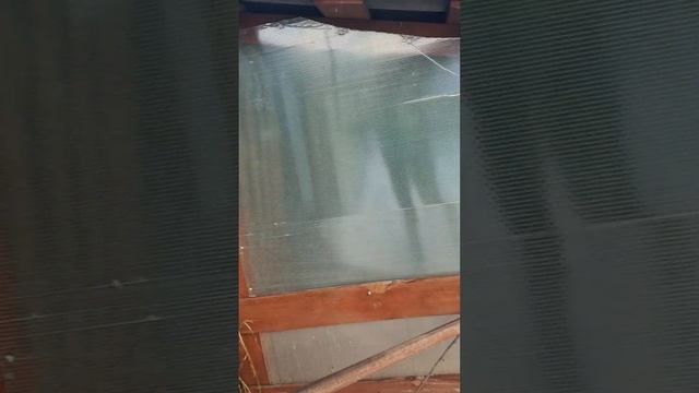 С Новым годом друзья!      куры Сильверудд,Араукана и Падуан под новый год смотреть онлайн