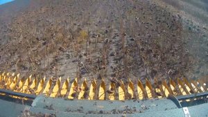 ZAFFRANI жатки для уборки подсолнечника