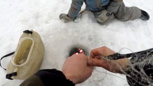 Зима! Проверка Поставушек на Налима! Рыбалка на Косынки, Протока Оби!