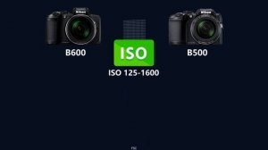 Nikon COOLPIX B600 vs Nikon COOLPIX B500