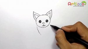 How to Draw  a Cute Cartoon Bat