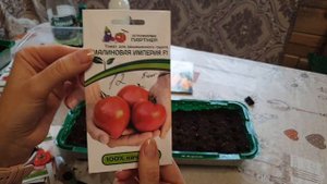 БУДЕТ МНОГО ТОМАТОВ!!! Посев семена ПАРТНЕР