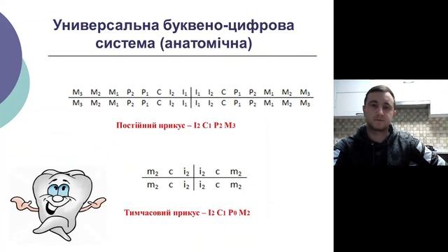 Лекція №2: Анатомо-морфологічні особливості ЗЩС у дітей в різні періоди смотреть онлайн