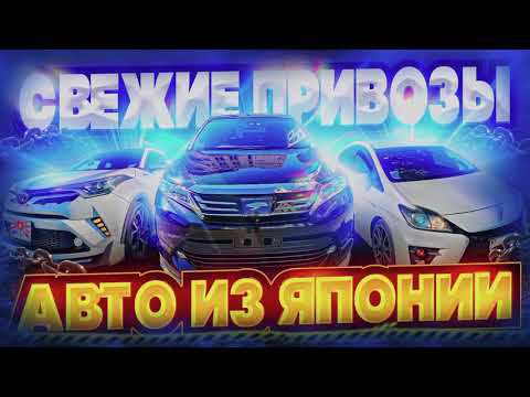 АВТОРЫНОК ЗЕЛЕНЫЙ УГОЛ ВЛАДИВОСТОК ОБЗОР11 апреля 2023 год C-HRPRIUS GS HARRIER