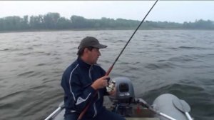 Рыбалка в Вольске  Как выловить жереха из косяка сельди