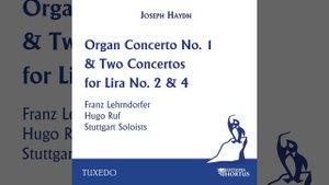 Concerto No. 4 in F Major for Lira, 2 Violins, 2 Violas, Cello Bass, 2 Horns, Hob.VIIh: II. Andante